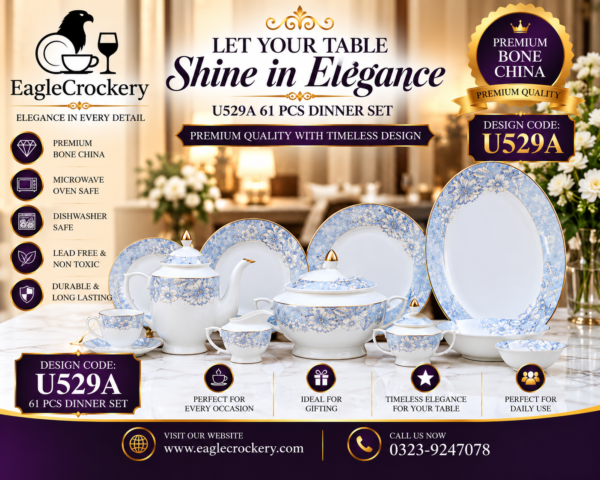 61 Pc Bone China Dinner Set (U529A)