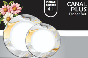 Melamine Dinner Set | Canal Plus (41) | Elegant, Durable, Heat-Resistant Plates & Bowls | Unbreakable, Lightweight, Premium Quality Dinnerware
