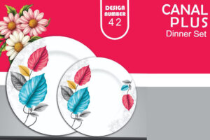 Melamine Dinner Set | Canal Plus (42) | Elegant, Durable, Heat-Resistant Plates & Bowls | Unbreakable, Lightweight, Premium Quality Dinnerware