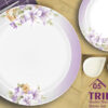 Melamine Dinner Set | Tribe (1) | Elegant, Durable, Heat-Resistant Plates & Bowls | Unbreakable, Lightweight, Premium Quality Dinnerware