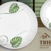 Melamine Dinner Set | Tribe (1) | Elegant, Durable, Heat-Resistant Plates & Bowls | Unbreakable, Lightweight, Premium Quality Dinnerware